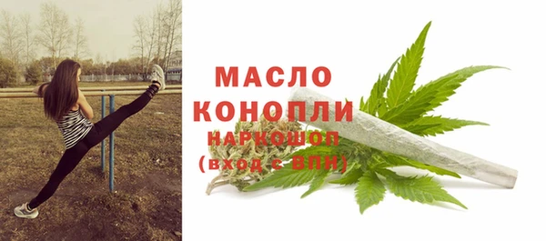 дживик Богородск