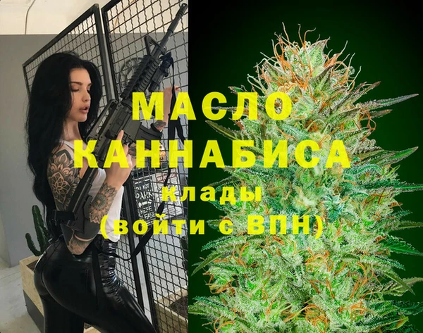 дживик Богородск