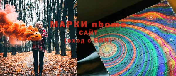 дживик Богородск